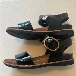 Sofft Black Sandals with Buckle Detail